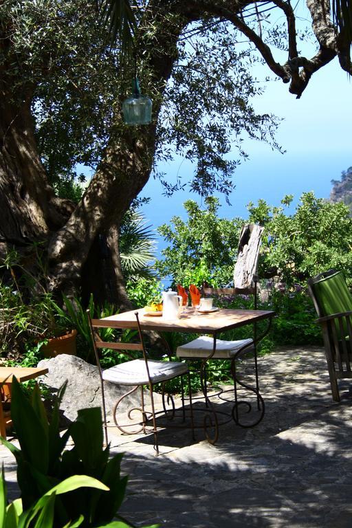 Sa Plana Petit 3* Estellencs (Mallorca)