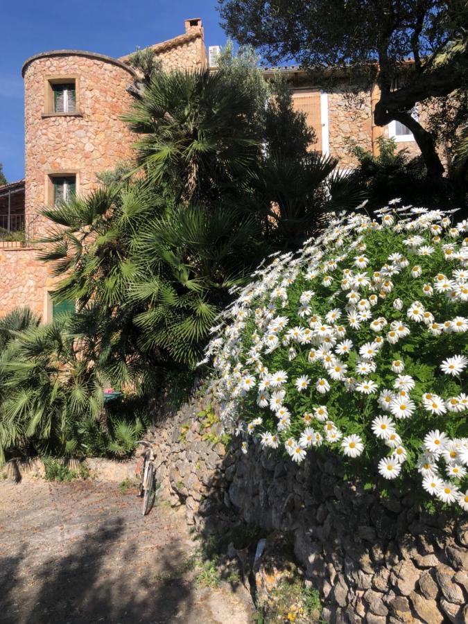 Sa Plana Petit Hotel Estellencs (Mallorca)